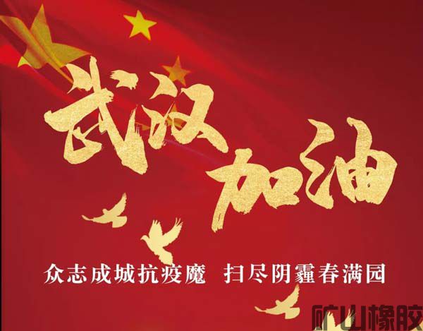 齊心協(xié)力，共抗疫情——遠程指導安裝橡膠襯板(圖1)
